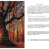 The Majesty of God - Image 4