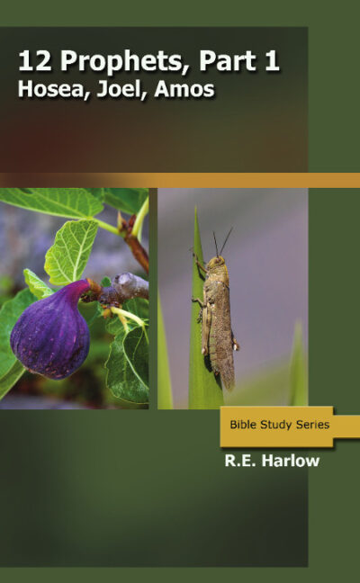 The 12 Prophets - Part 1: Hosea, Joel, Amos  (Studies in the Minor Prophets)