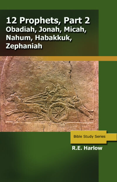 The 12 Prophets - Part 2: Obadiah to Zephaniah  (Studies in the Minor Prophets)