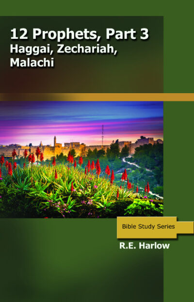 The 12 Prophets - Part 3: Haggai, Zechariah, Malachi  (Studies in the Minor Prophets)